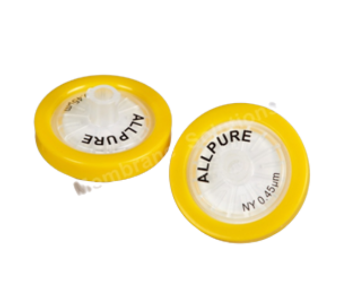 TLG Syringe Filter, Polyamide (PA), Nylon66 (Hydrophilic)